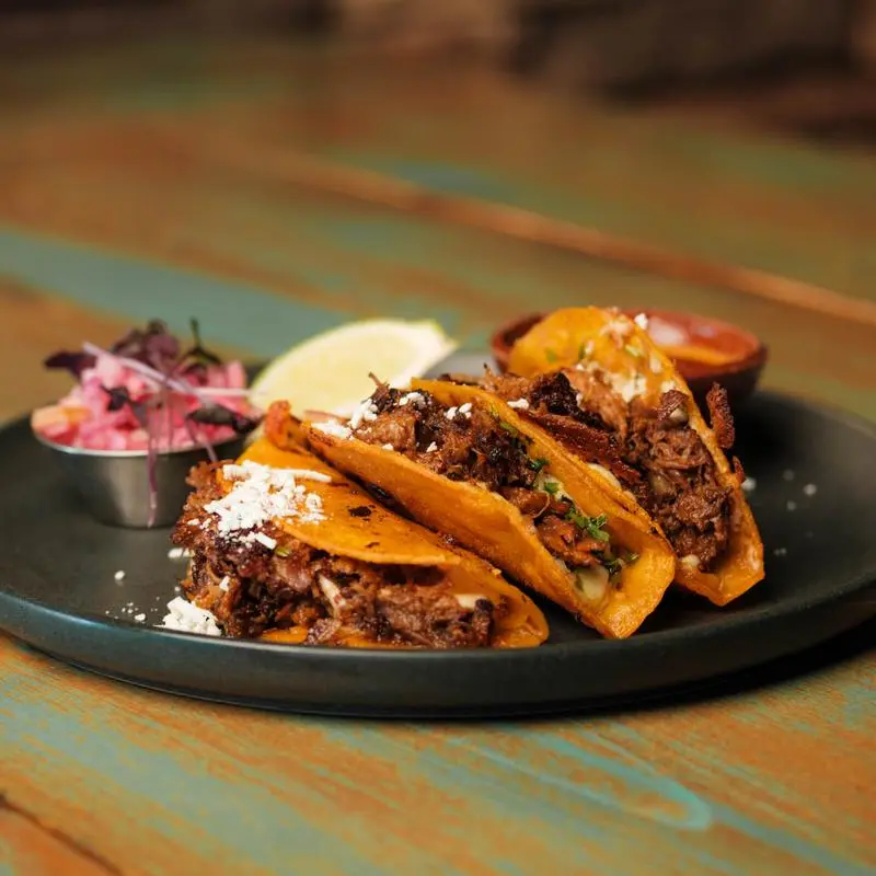 Best Birria Quesadilla in Edmonton at The Three Amigos